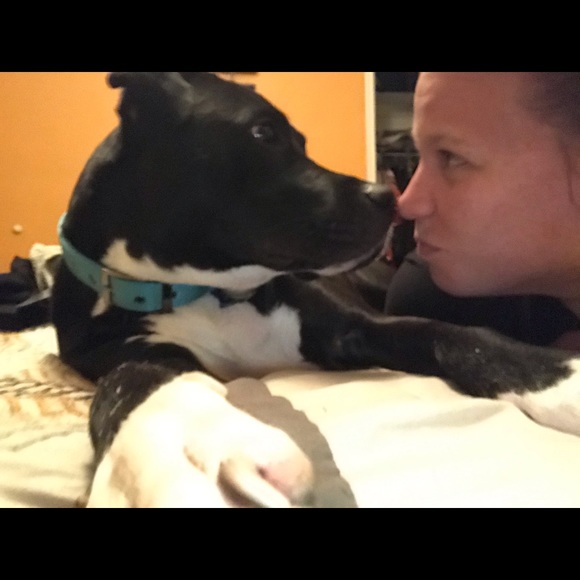 Meet your Posher, Adina - Picture 3 of 5